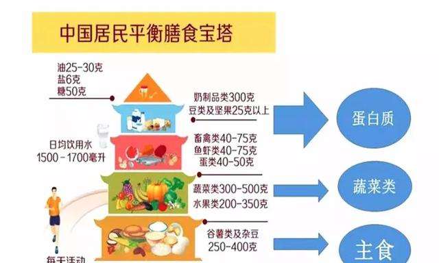 把握这个营养餐搭配基本标准：主食+蔬菜+优质蛋