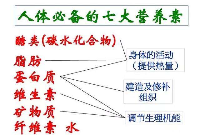 健身需要学点营养学，如何简易搭配健身餐？