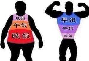 营养学家公布的每日最佳饮食表